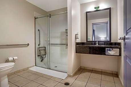 Standard King Room with Sofa Bed and Shower - Communications and Mobility Access/Pet Friendly