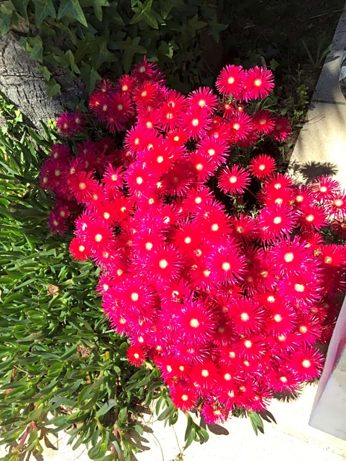 Chambres Table d'hotes Carpe diem