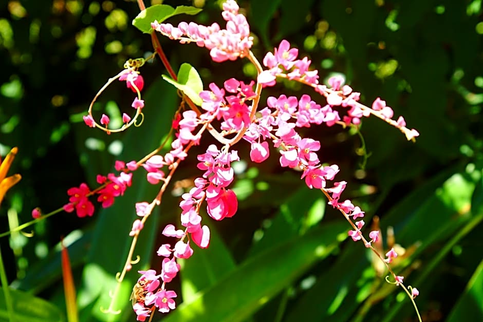 Hexagon International Hotel, Villas & Spa