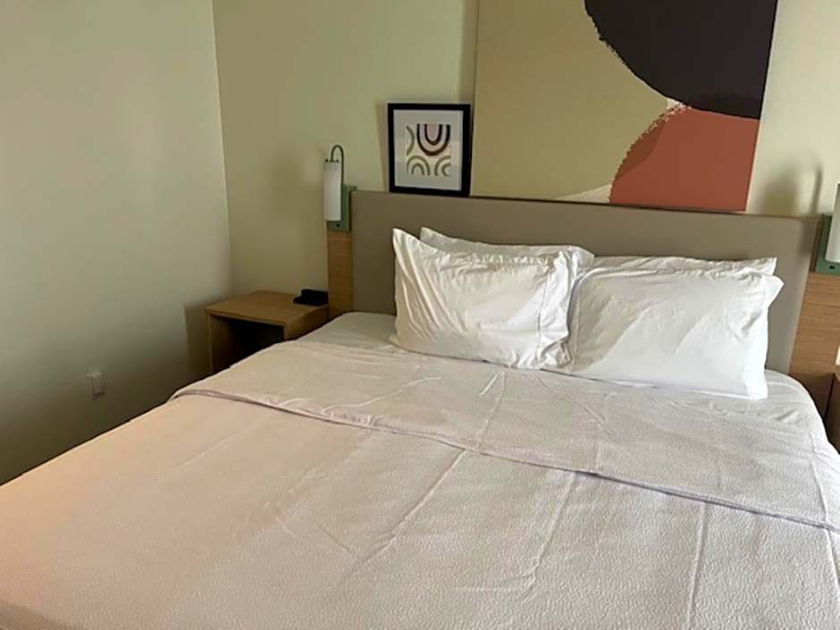 Photo 1 of 8 of 1 King Bed, Mobility Accessible, Roll in Shower