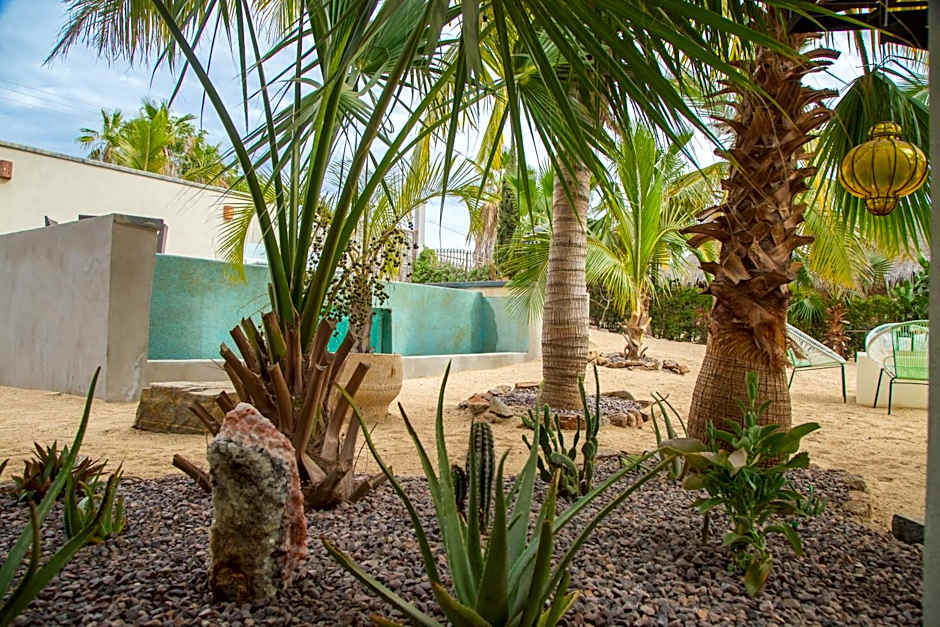 Pure Baja Private Suites-Upscale Property with Infinity Pool and Lush Gardens