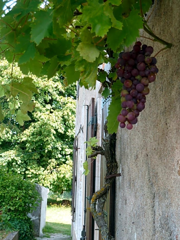 A L'Ombre Du Marronnier GITES