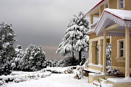Tree of Life - Grand Oak Manor, Binsar Wildlife Sanctuary