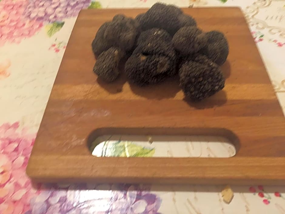 Residence Via Benamati