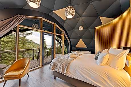 Alpin D'Hôme Hôtel & Spa