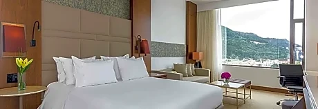 Premium room with Terrace (3ad)
