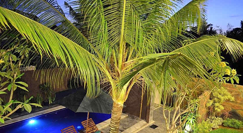 Dabumito Guest House