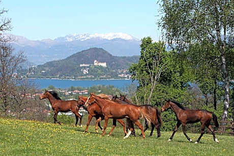 La Cucchetta