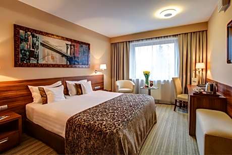 Double Room with one large bed