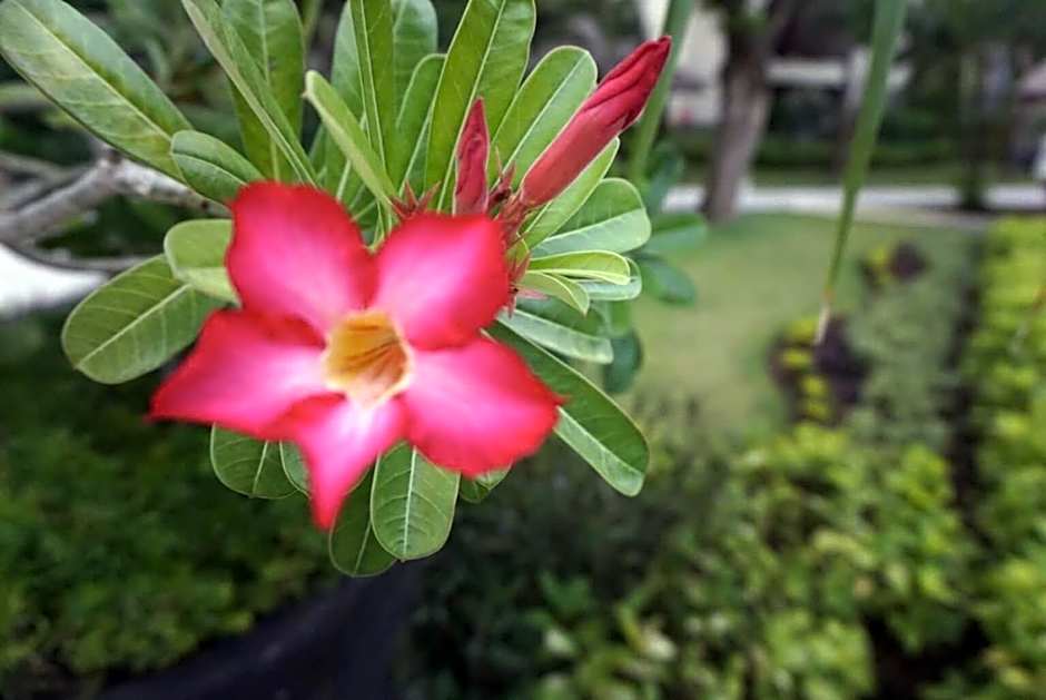 Ruby Nusa Dua Bali
