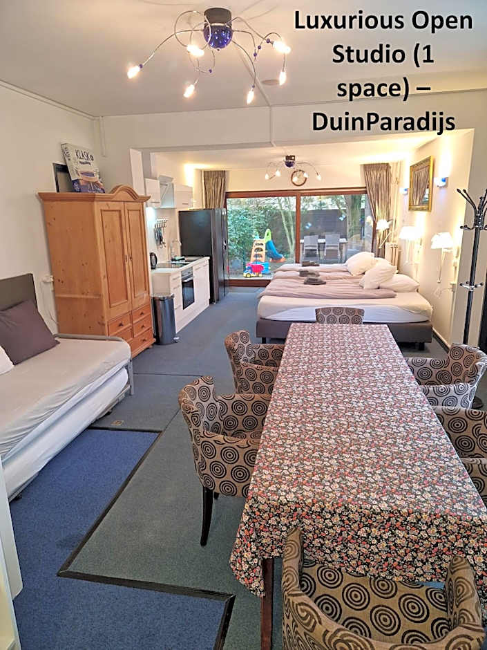 DuinVliet - Zandvoort Dunes & Free Parking