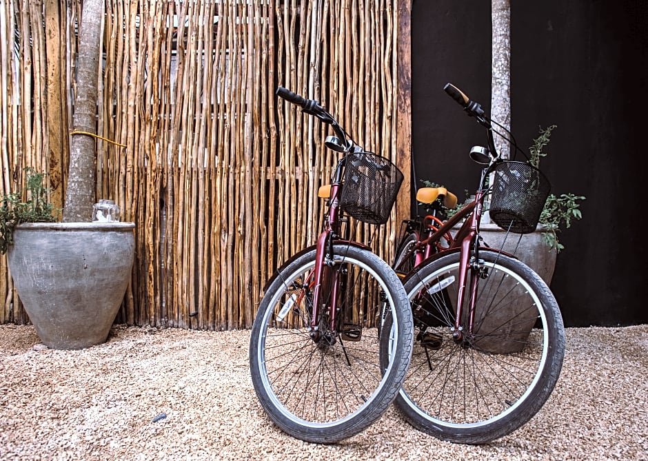 Aroma Tulum