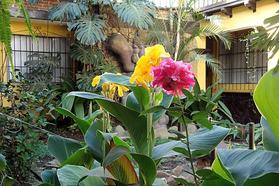 Hotel Las Camelias Inn by AHS