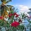 Anjo Maumere Hotel & Restaurant