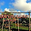 Tigraviers Bed & Breakfast