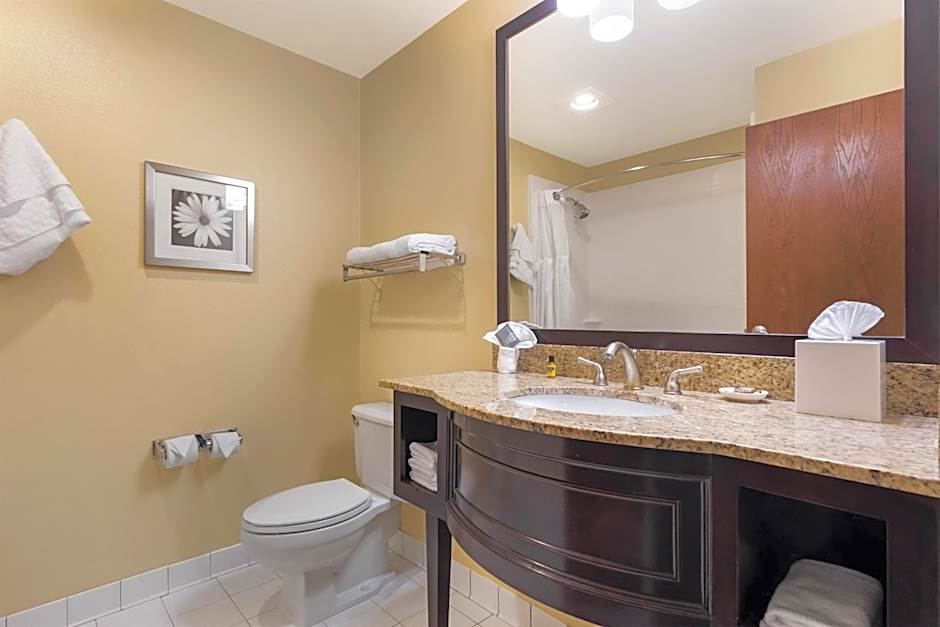 Best Western Plus Plaza By The Green