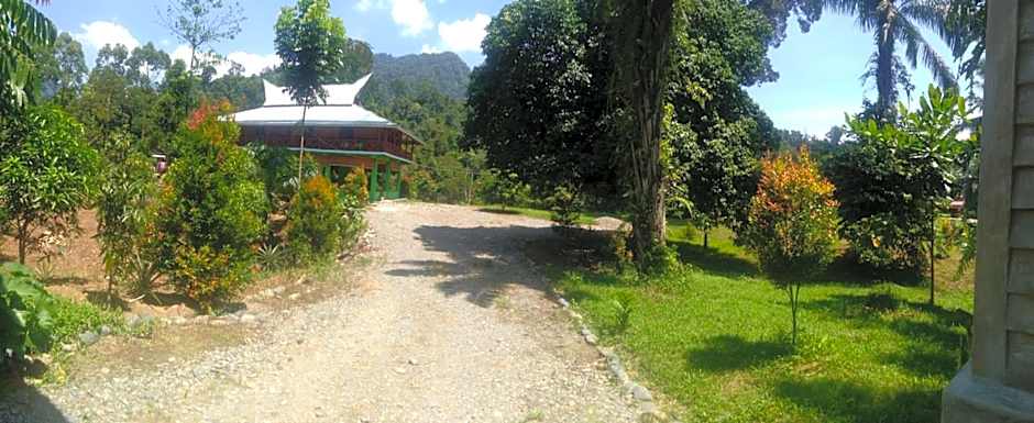 Green Forest Tangkahan