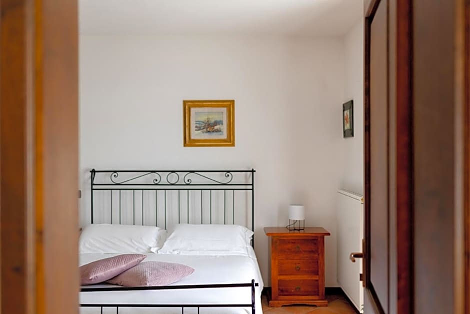Radice Verde