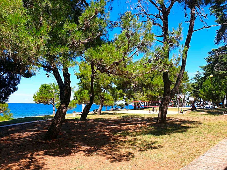 Youth Hostel Pinesta