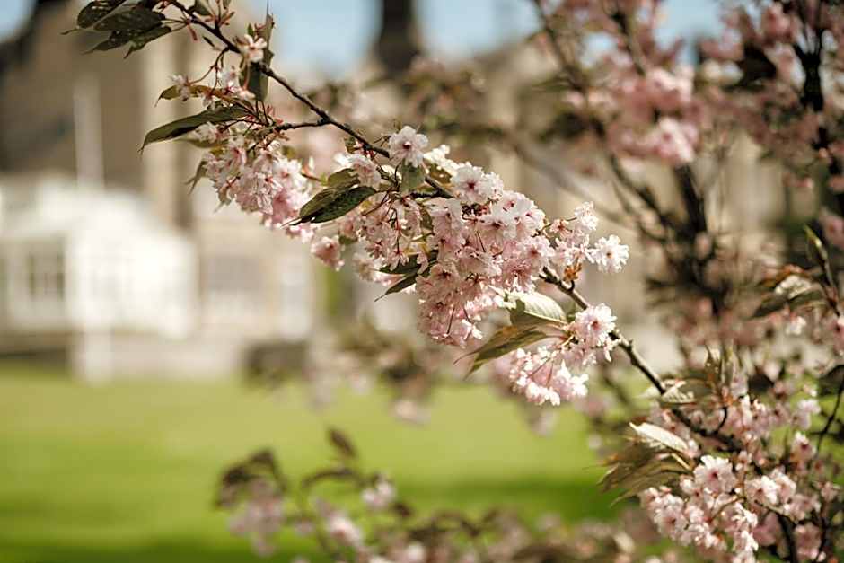 Matfen Hall Hotel and Golf - Outstanding New Spa Opening September 15th