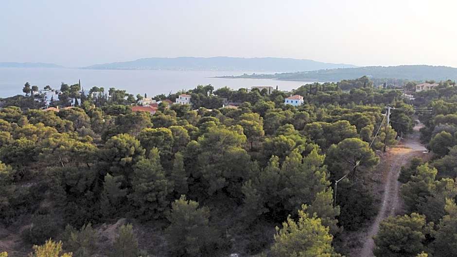 PLEIADES lUXURY APARTMENTS