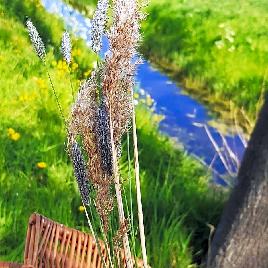 Ontbijt bij De Boerenmeid