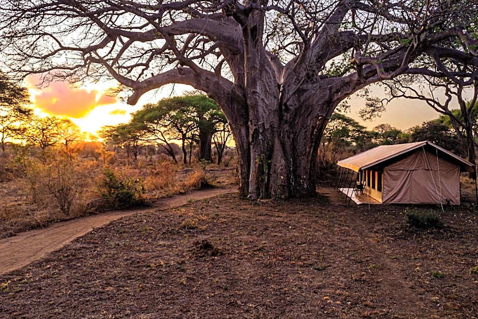 Baobab Tented Camp
