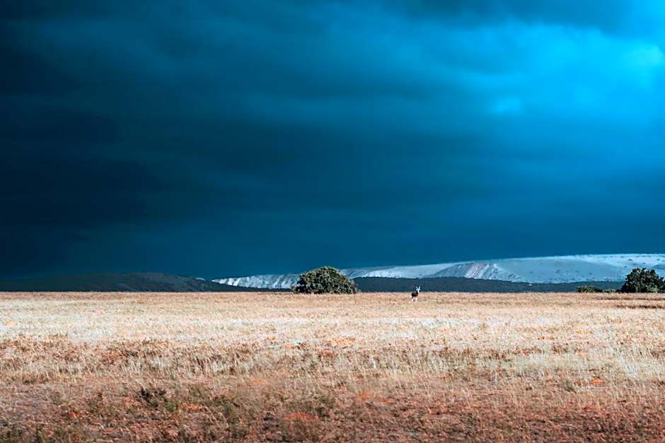 Hlosi Game Lodge - Amakhala Game Reserve