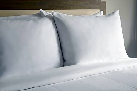 Queen Room with Sofa Bed