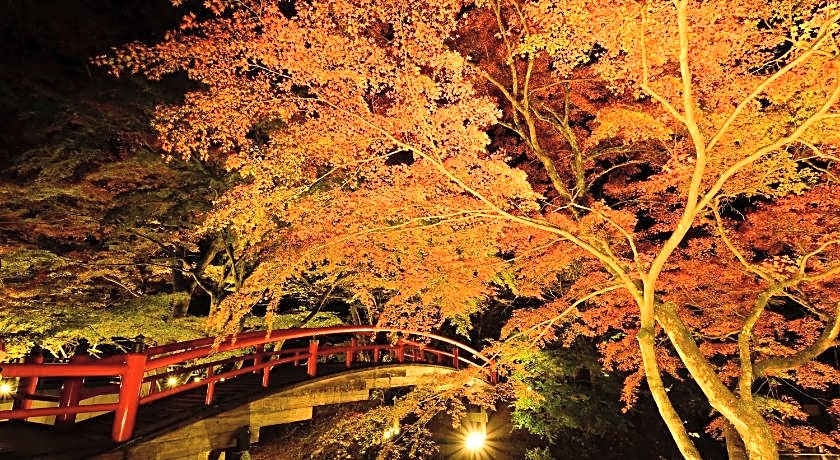 Mimatsukan                                                                                  