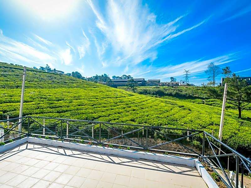 Villa Tea Fields - Free Breakfast, Near Lake Gregory