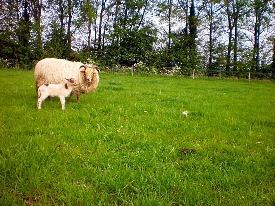 Boerderijkamer Korenbloem