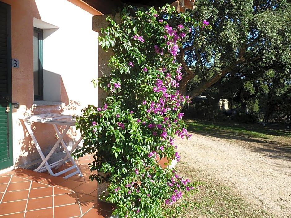 Agriturismo Vaddidulimu