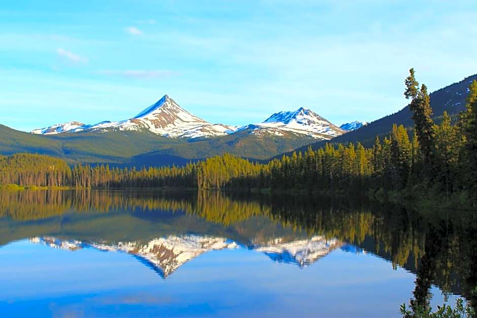 Vines and Puppies Hideaway