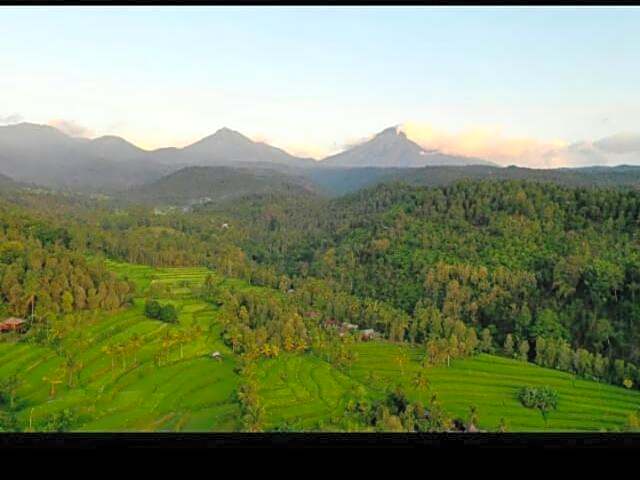 Yoga Homestay
