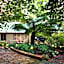 Linden Gardens Rainforest Retreat