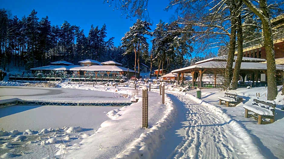 Domki Kaszuby - jezioro las i zoo w Szarlocie
