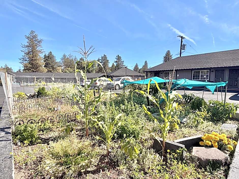 Cascade Lodge Boutique