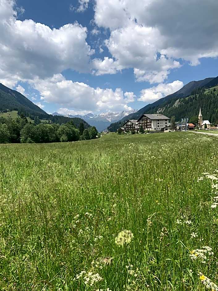 Bed and Breakfast Darlux