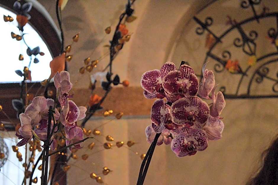 Ristorante Pizzeria al Mondo