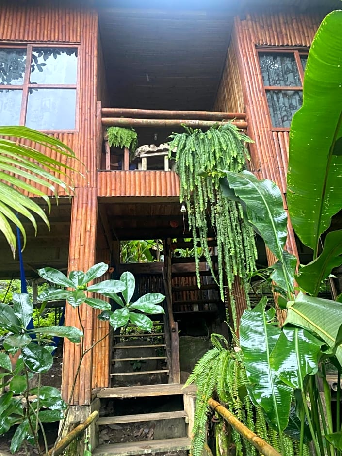 Cabañas Encantadas B. Juarez
