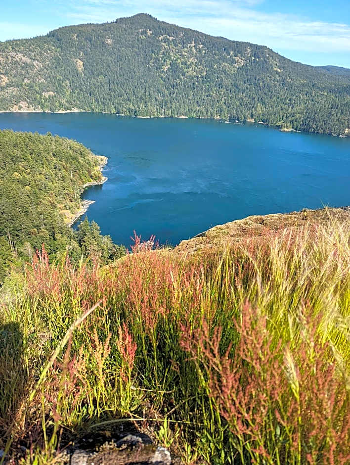 Maple Rise Guesthouse