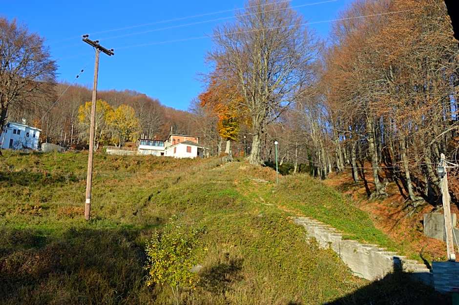 Hotel Hani Zisi