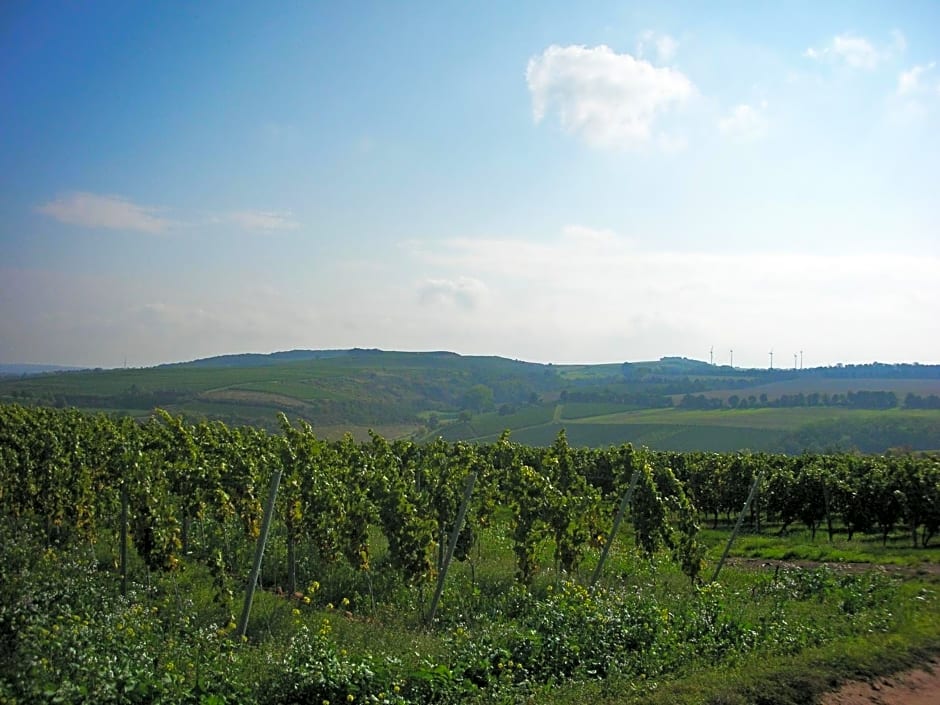 Landhotel & Weingut Espenhof