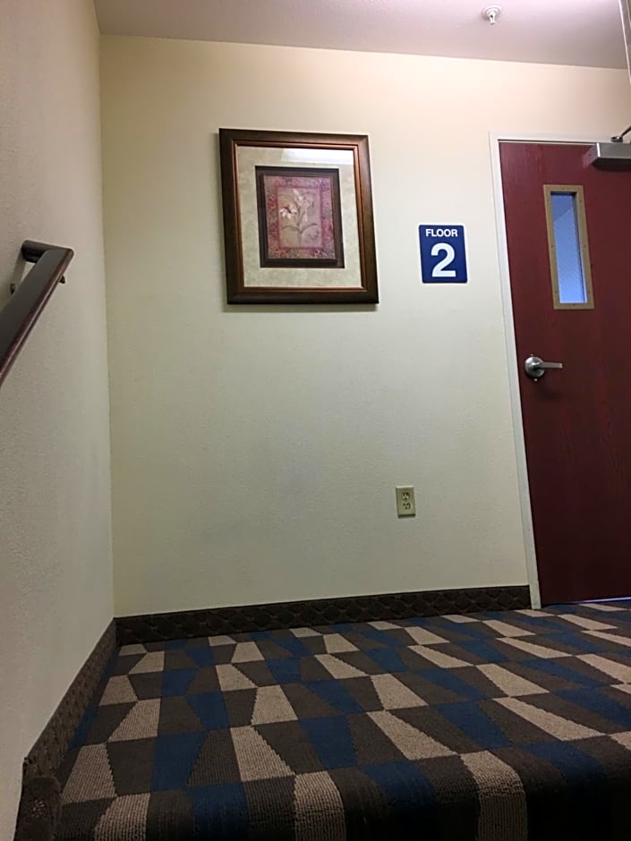 Microtel Inn & Suites By Wyndham Indianapolis Airport