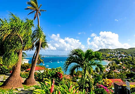 Le Panoramic