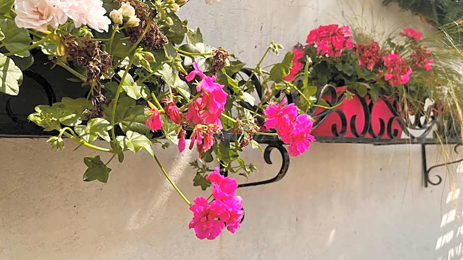 Hôtel L'Ours De Mutzig