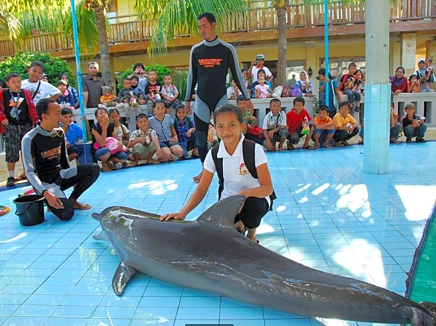 Dolphin Hotel Bali