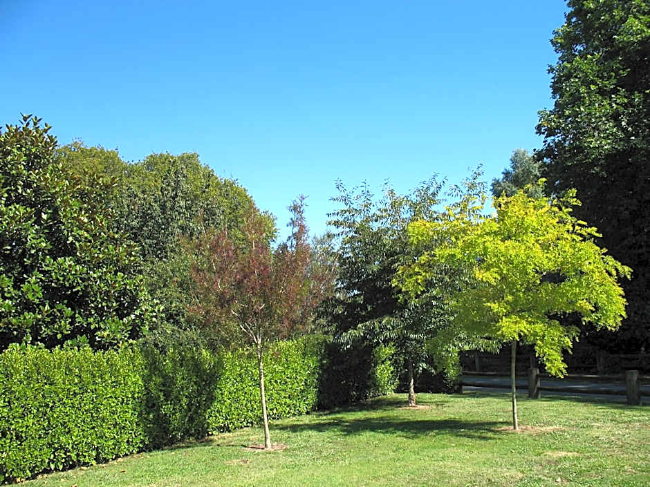 Karapiro Willows Luxury B & B