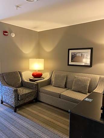 One-Bedroom King Suite with Sofa Bed and Lake View